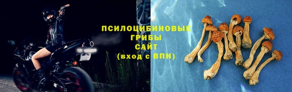 a pvp Алексеевка