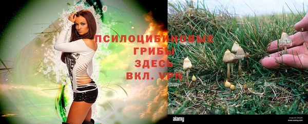 mix Алзамай