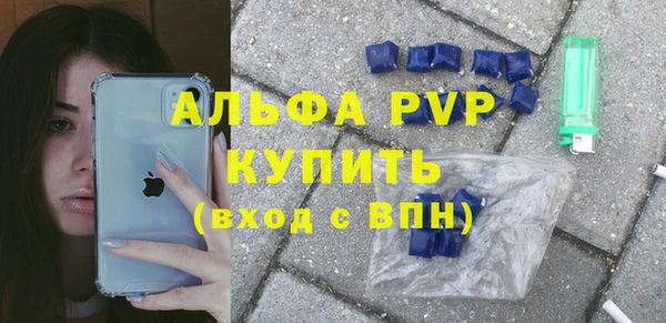 стаф Алексин