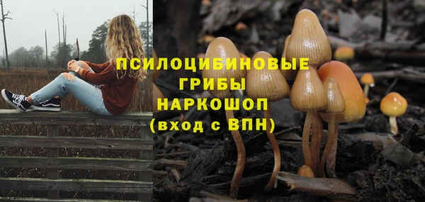 a pvp Алексеевка